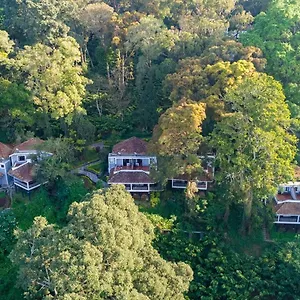 https://the-tall-trees.kerala-hotels.net